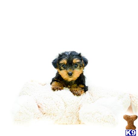 addisongood Picture 3
